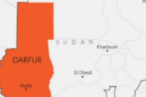 215 civilians died in RSF-run prison in South Darfur, medics say