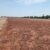 Leer gets all-weather airstrip to improve humanitarian access