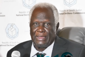 NEC launches voter outreach after US$6 million funding