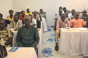 30 chiefs, women leaders undergo GBV laws training in Juba