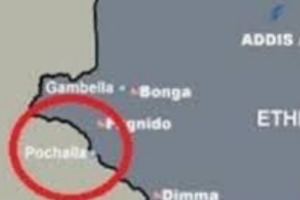 Anyuak Community urges government intervention following Raat tensions
