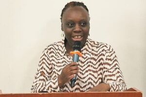 UN Women urges journalists to promote conflict-sensitive reporting ahead of elections