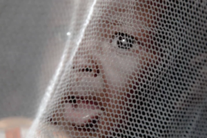 Probe into alleged sale of free mosquito nets in Western Equatoria