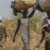 UN peacekeepers withdraw from Akobo base