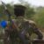 South Sudan survivors renew justice calls two years after war crimes filing