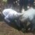 Yei launches clean-up, tree planting drive on Environment Day