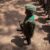 DDR Commission secures release of 49 children from armed groups