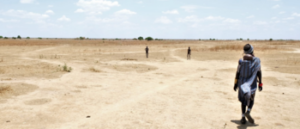 E. Equatoria: Hunger forces families to flee Imehejek as drought deepens