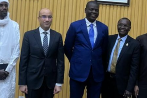 Stakeholders discuss election preparedness with AU C5 delegation in Juba