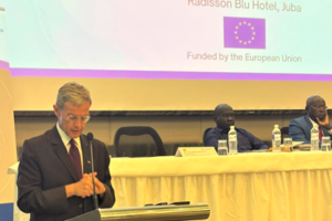 EU Envoy asks MPs why education, health spending are minuscule