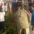 Yei County launches $58,000 Kanjoro-New Site Bridge