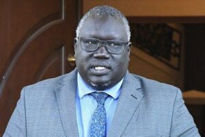 Election bodies warn funding shortages, insecurity threaten December polls