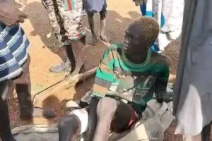 Hyena attacks family home in Rumbek North, injures two boys