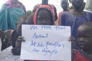 Protesters demand food aid as hunger deepens in Akobo West