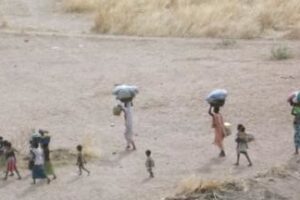 8 civilians killed in drone strike in North Kordofan: rights group