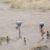 8 civilians killed in drone strike in North Kordofan: rights group