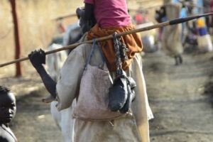 Blue Nile civil society warns of deepening crisis as thousands flee violence
