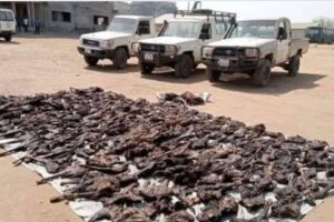 Two hunters, security agent killed in Bor clash