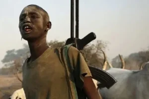 49 killed, 33 wounded in Tonj North communal clashes