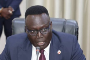 Juba City Council proposes property tax cut