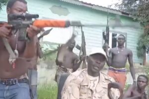 Nuba Mountains: Otoro accuses SPLM-N of violating cessation of hostilities
