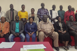 Researchers: Politics fueling land grabbing in South Sudan