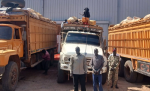Leer authorities ban nighttime entry of goods trucks