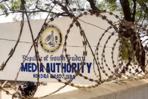 Op-Ed| Media Authority: A regulatory body or an instrument for professional and institutional cleansing?