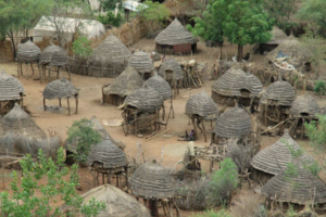 Drought, hunger drive hundreds from E. Equatoria’s Kauto