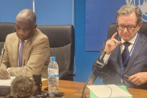 لجنة الأمم المتحدة لحقوق الإنسان تحذر من أن الانتخابات في جنوب السودان قد تغذي العنف