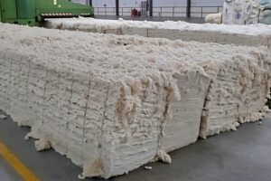Cotton lesson from China: The white oil South Sudan is yet to discover