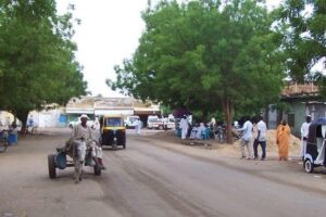 Blue Nile governor extends state of emergency for three months