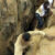 More than 60 killed in West Kordofan gold mine collapse