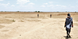 Drought, insecurity deepen hardship in Eastern Equatoria