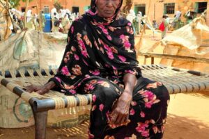 Damazin IDPs living in dire conditions amid rains, food shortage