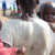 Refugees and returnees give mixed reactions to December elections