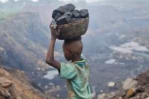 Child labour rises as families struggle in Blue Nile