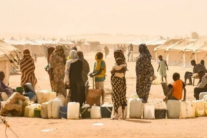Dengue, malaria cases rise in Blue Nile as medicine prices soar