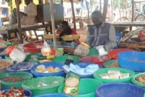 Rising food, transport costs deepen hardship in Sudan’s Damazin