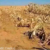 Opinion| Famine’s echo worries South Sudan as harvests collapse