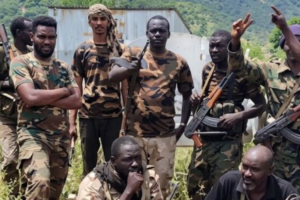 Sudan army says it killed RSF fighters in Blue Nile