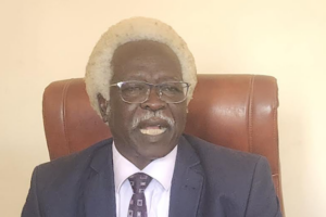 Kon rejects Kiir’s caretaker appointments, calls for consultation