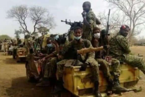 Sudan army says it recaptured 11 areas in North Kordofan