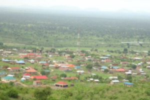 Nimule residents raise alarm over alleged land grabbing