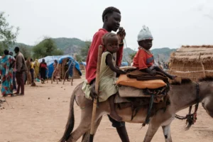 Imbonq commissioner says 18,000 IDPs put pressure on services