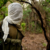 Search on for two policemen abducted in W. Equatoria