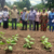 UNDP, IFAD, and partners boost commercial agriculture in W. Equatoria