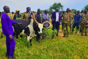 Mayom authorities hand over 51 recovered cattle to Tonj North