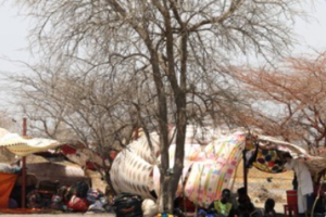 Feature| Displaced South Sudanese ask what’s next after the food runs out