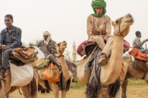 Rift within Rezeigat after Al-Nawaiba break away from tribal leadership